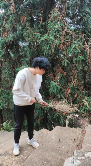 青春扎根故土，实干彰显风采——2026年“返家乡”社会实践风采展示
